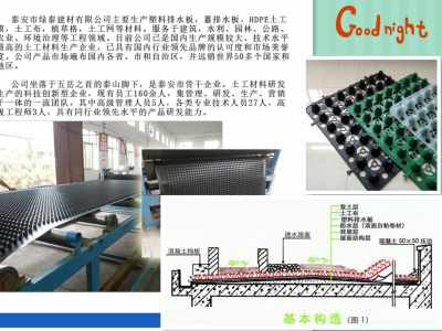 平頂山25高復(fù)合防護(hù)排水異形片（25mm）今日?qǐng)?bào)價(jià)與專(zhuān)業(yè)技術(shù)服務(wù)解析